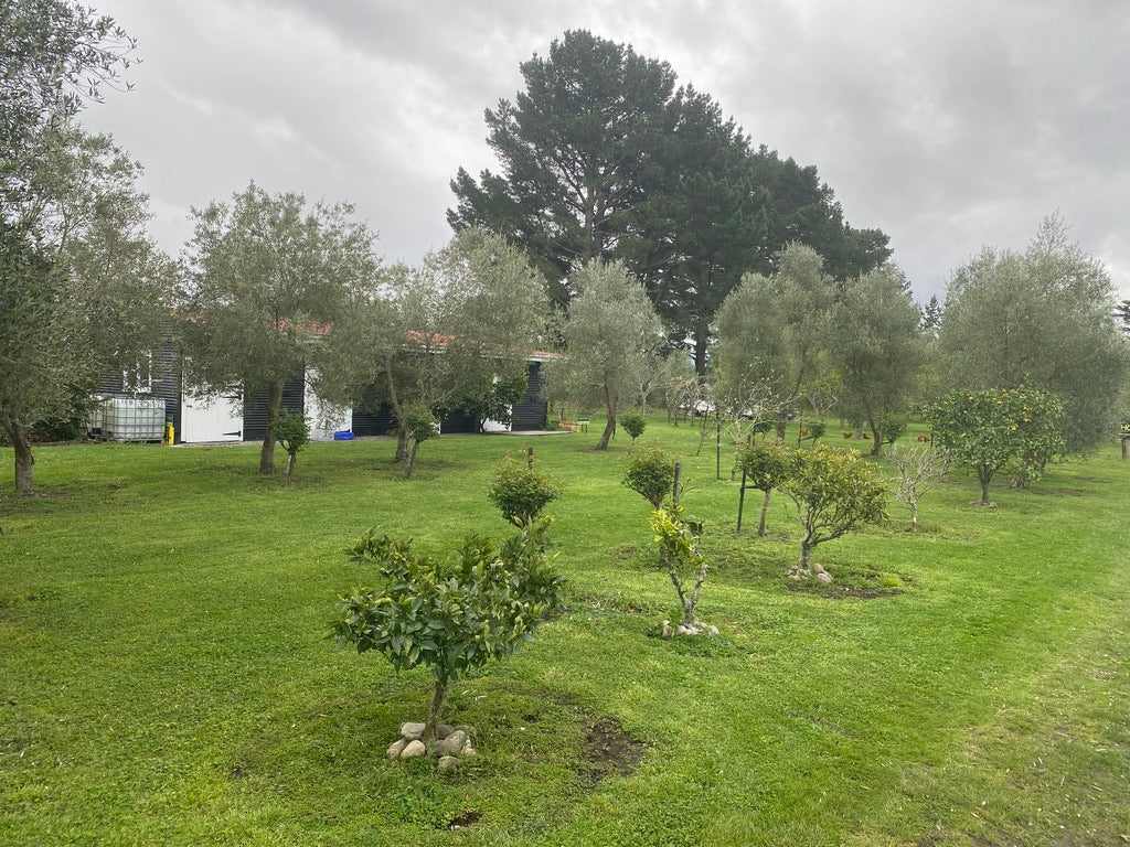 Do you have someone who you find it hard to buy gifts for?