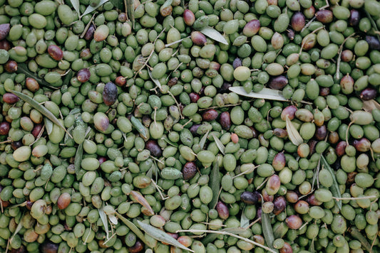 Savour the Flavour: the Delicious World of Olive Oils